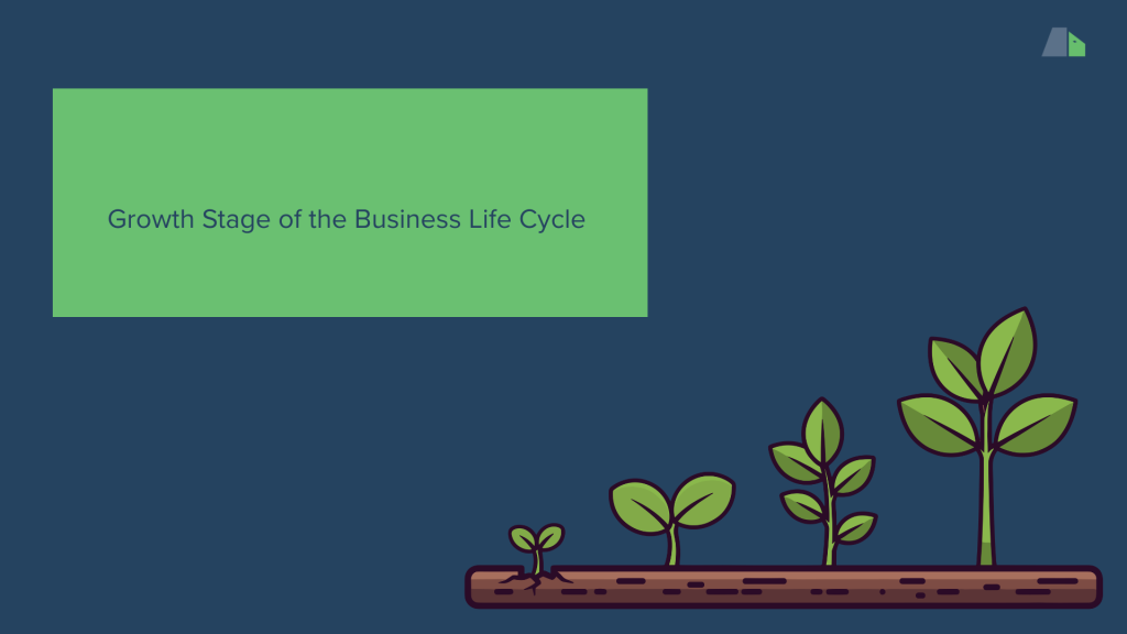 Growth Stage of the Business Life Cycle