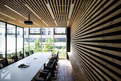 The Leonine boardroom